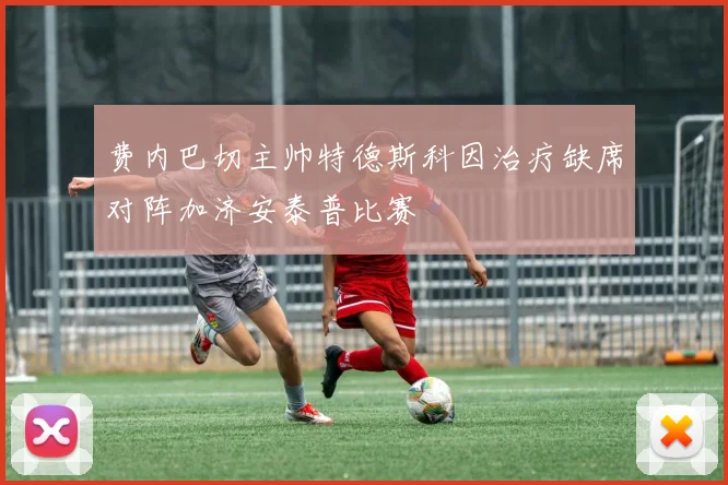 费内巴切主帅特德斯科因治疗缺席对阵加济安泰普比赛