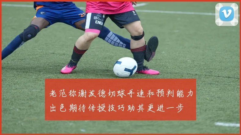 老范称谢泼德切球手速和预判能力出色期待传授技巧助其更进一步