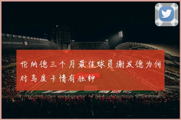 伦纳德三个月最佳球员谢泼德为何对乌度卡情有独钟