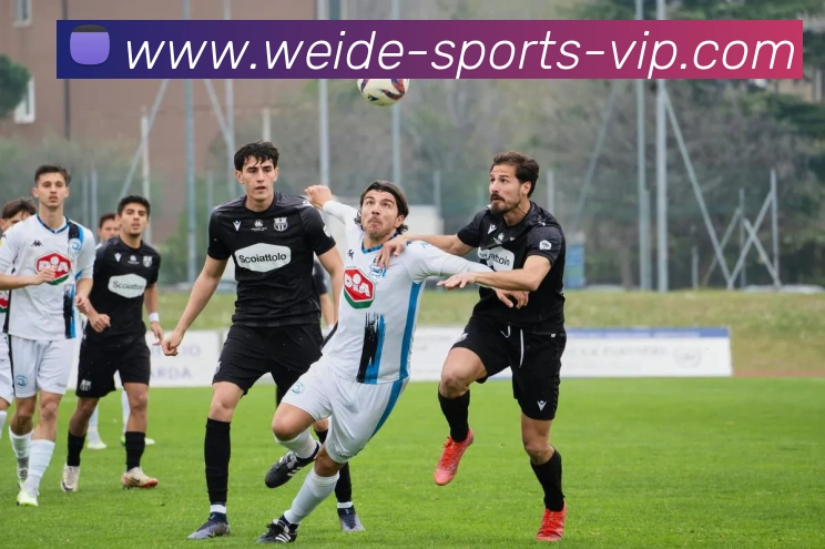 多媒体互动体验