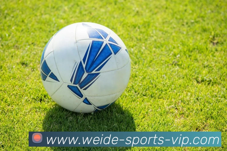 伟德体育APP 体育赛事宣传图